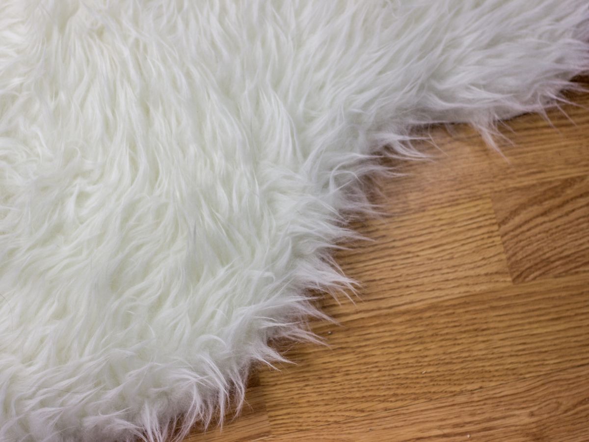 Living room styled around a soft, grounding area rug